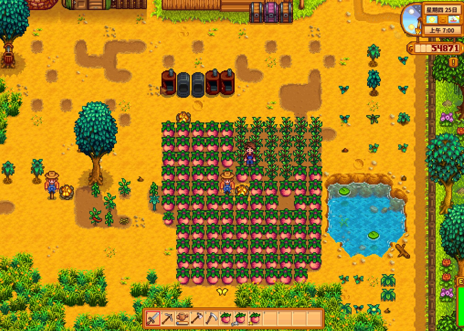 魔兽世界 豪华版 截图11