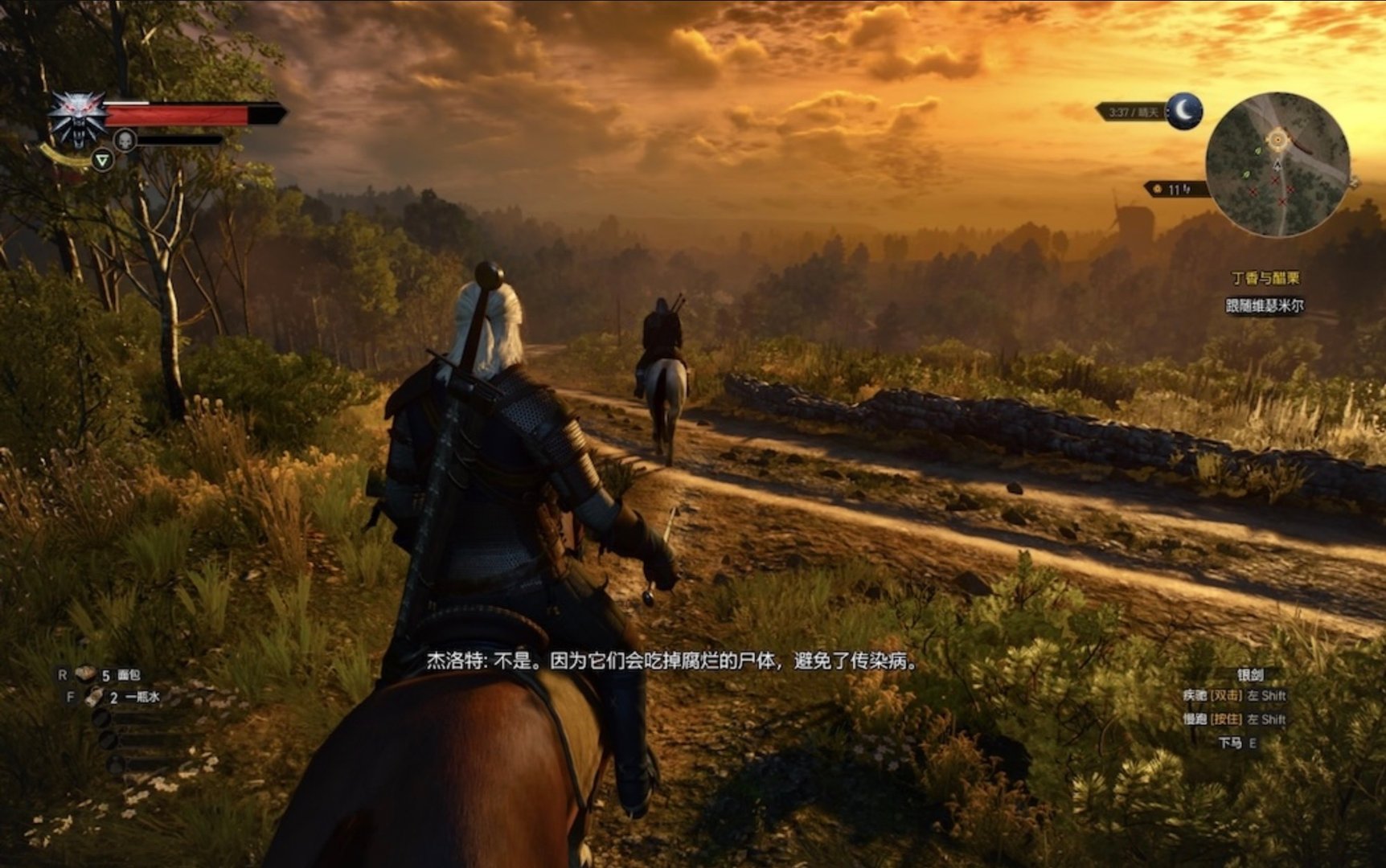 巫师3：狂猎 完整版 截图8