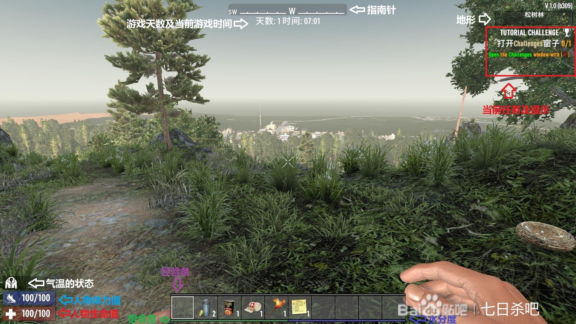 星露谷物语 豪华版 截图12